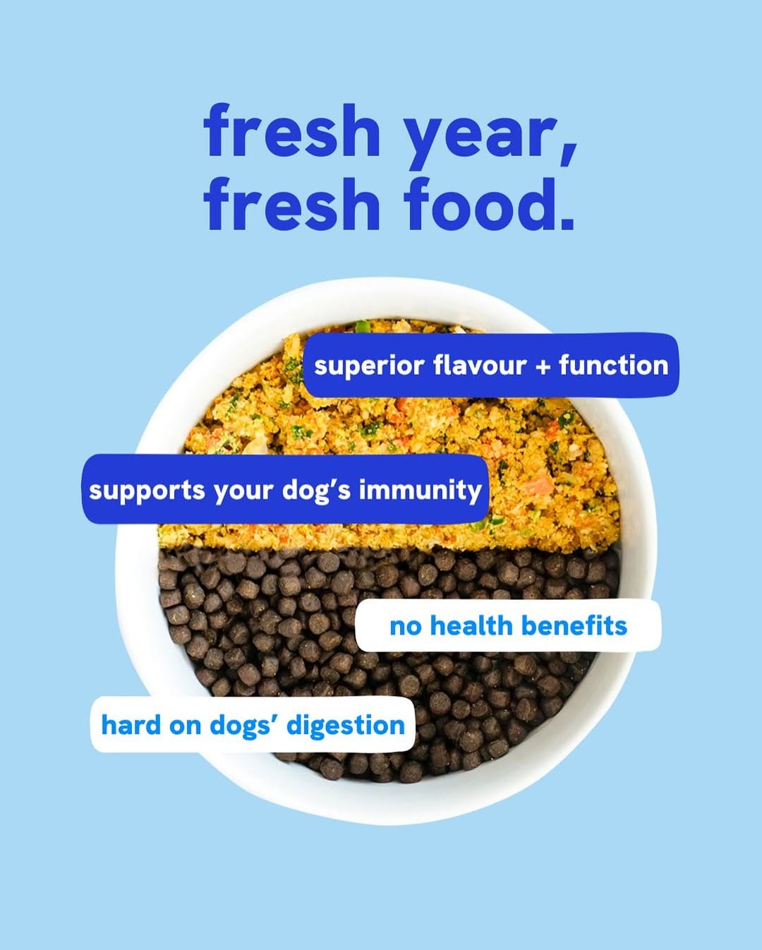 Post 5 by Dog Standards Fresh Dog Food on Instagram (image)
