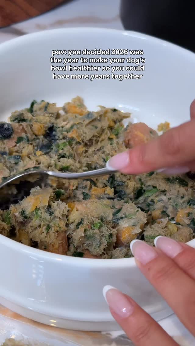Post 4 by Dog Standards Fresh Dog Food on Instagram (video)