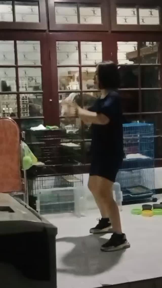 Post 3 by Njo Dona Bella on Instagram (video)
