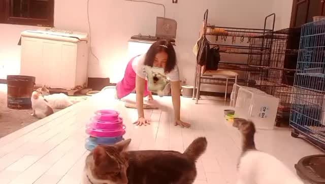 Post 7 by Njo Dona Bella on Instagram (video)