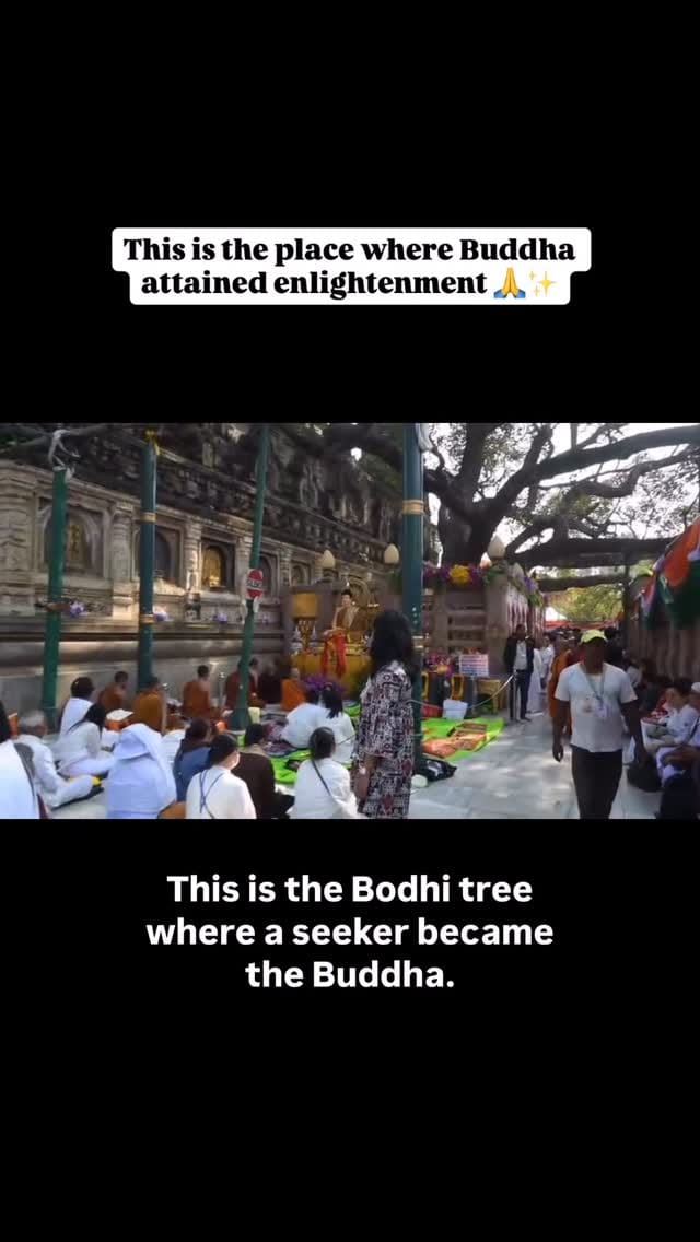 Post 3 by Nivi on Instagram (video)