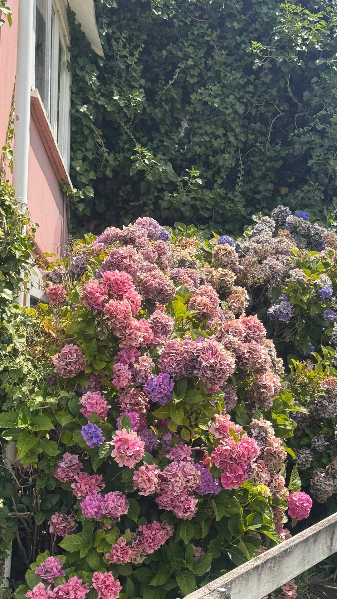 Post 7 by Britnee Kent on Instagram (video)