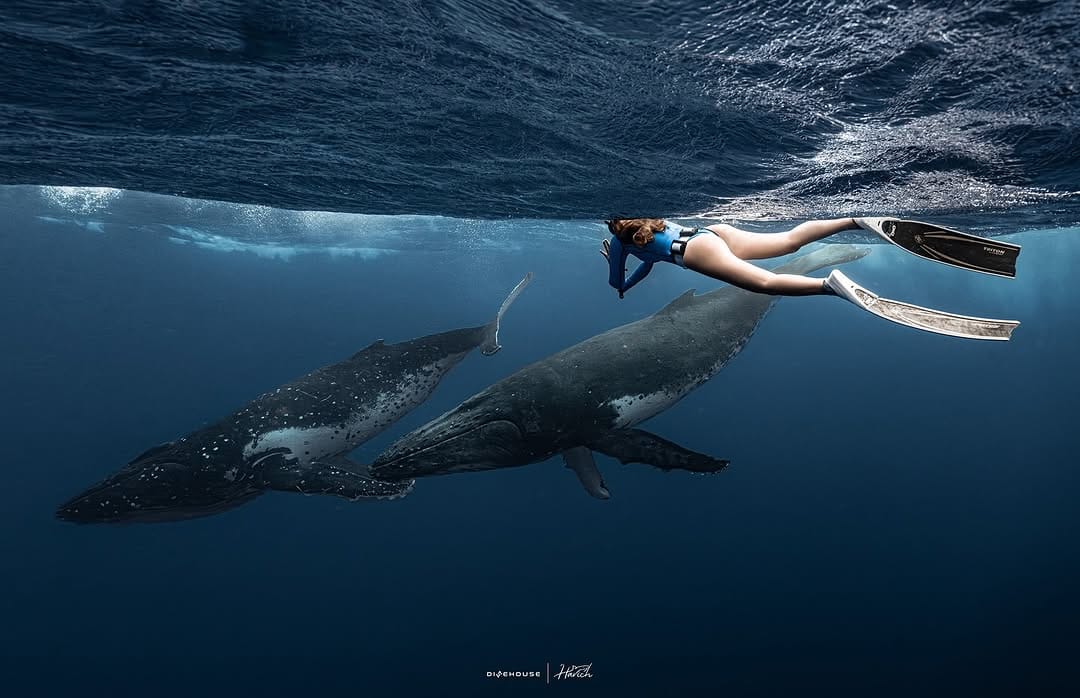 Post 8 by Oceaner Freediving on Instagram (image)