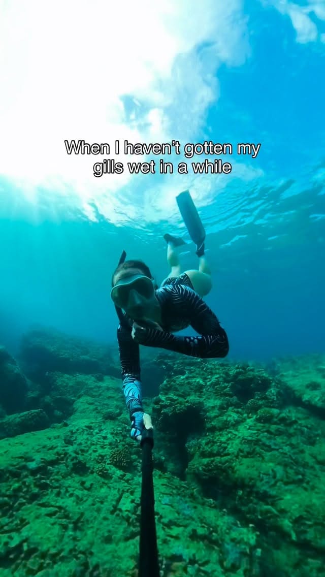 Post 6 by Oceaner Freediving on Instagram (video)