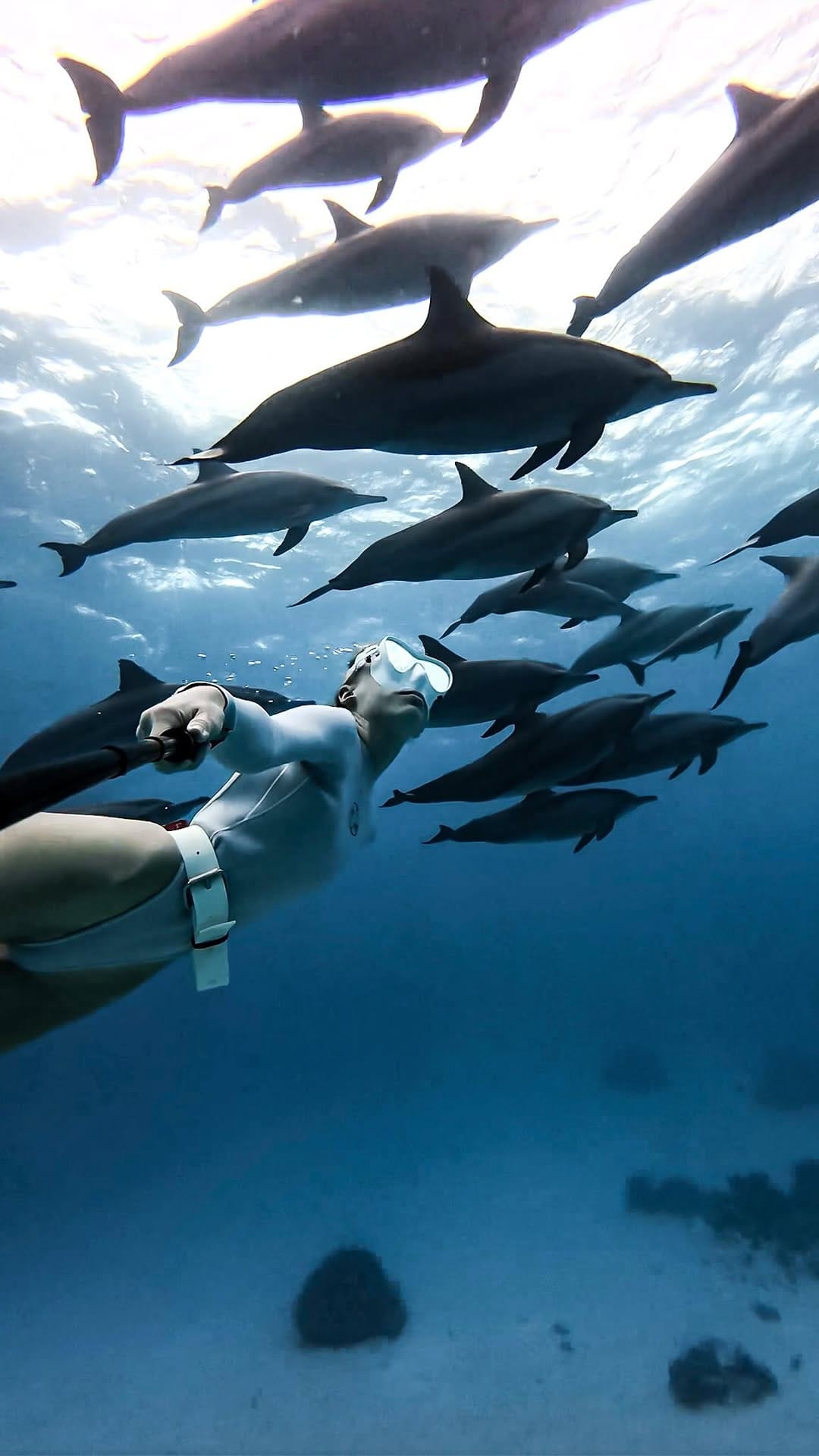 Post 2 by Oceaner Freediving on Instagram (video)