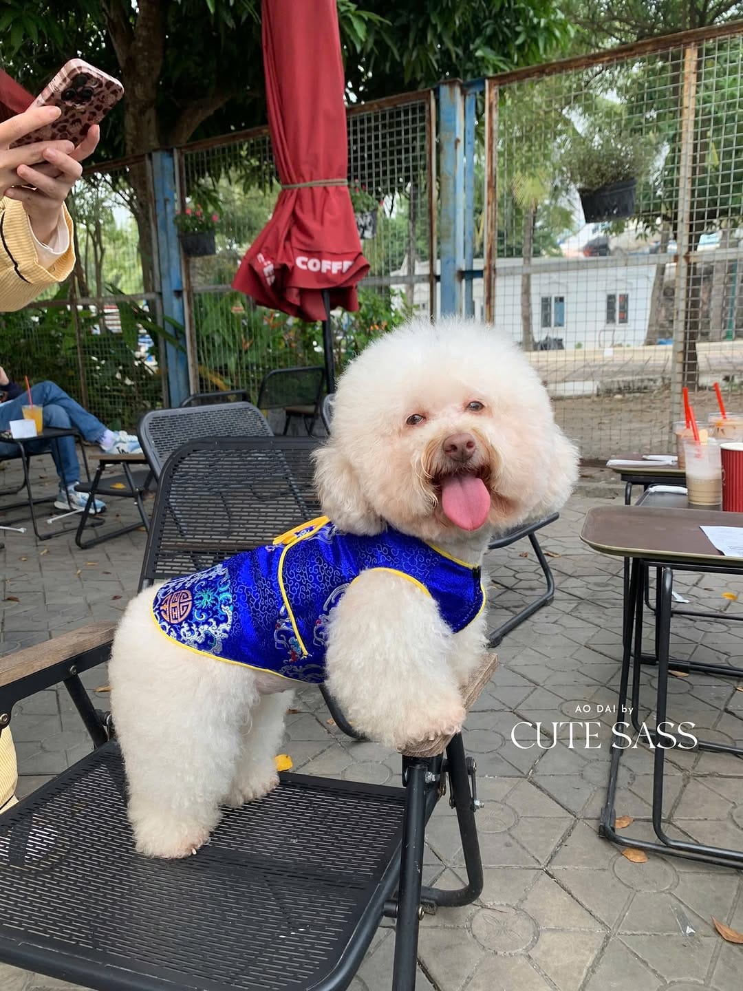 Post 4 by Ao Dai by Cute Sass | Vietnamese Modern, Size Inclusive Áo Dài on Instagram (carousel)