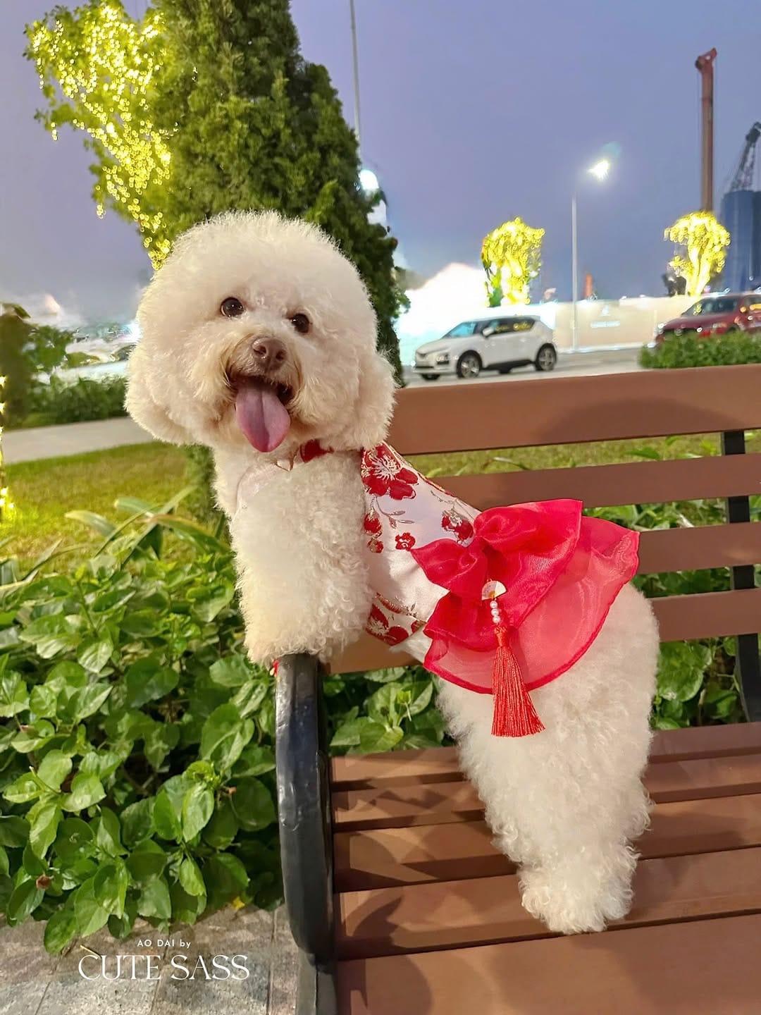 Post 5 by Ao Dai by Cute Sass | Vietnamese Modern, Size Inclusive Áo Dài on Instagram (carousel)