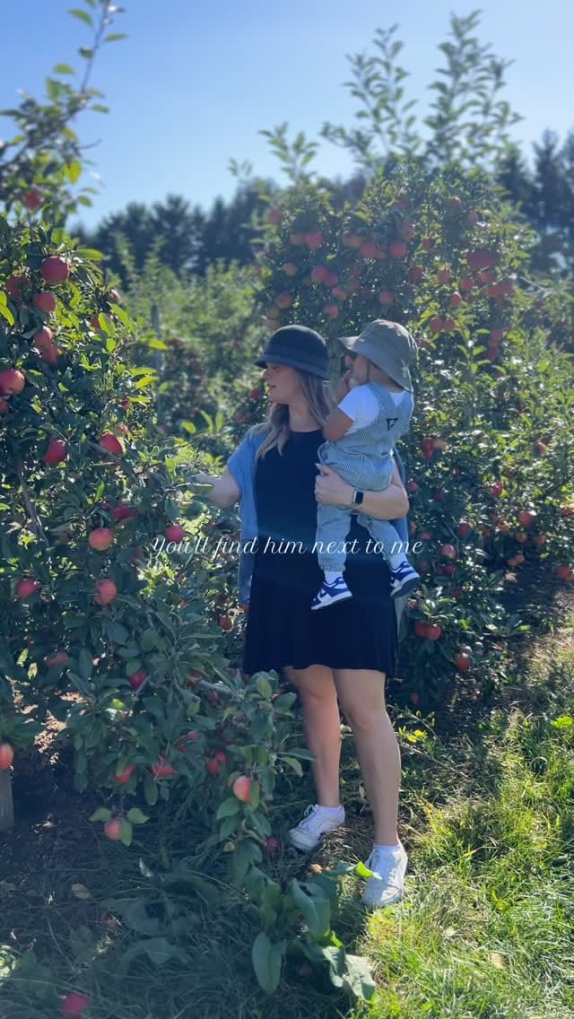 Post 4 by Jenny V on Instagram (video)