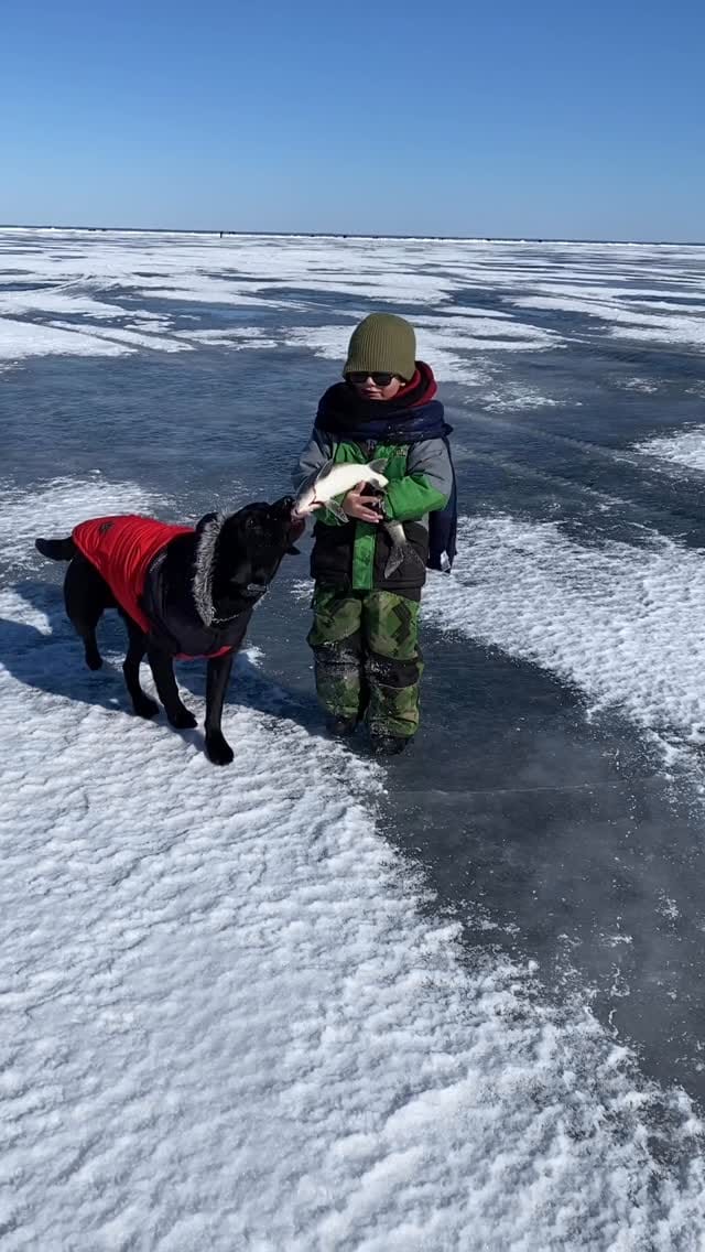 Post 3 by Sarah Delyea | Ontario 🇨🇦 on Instagram (video)