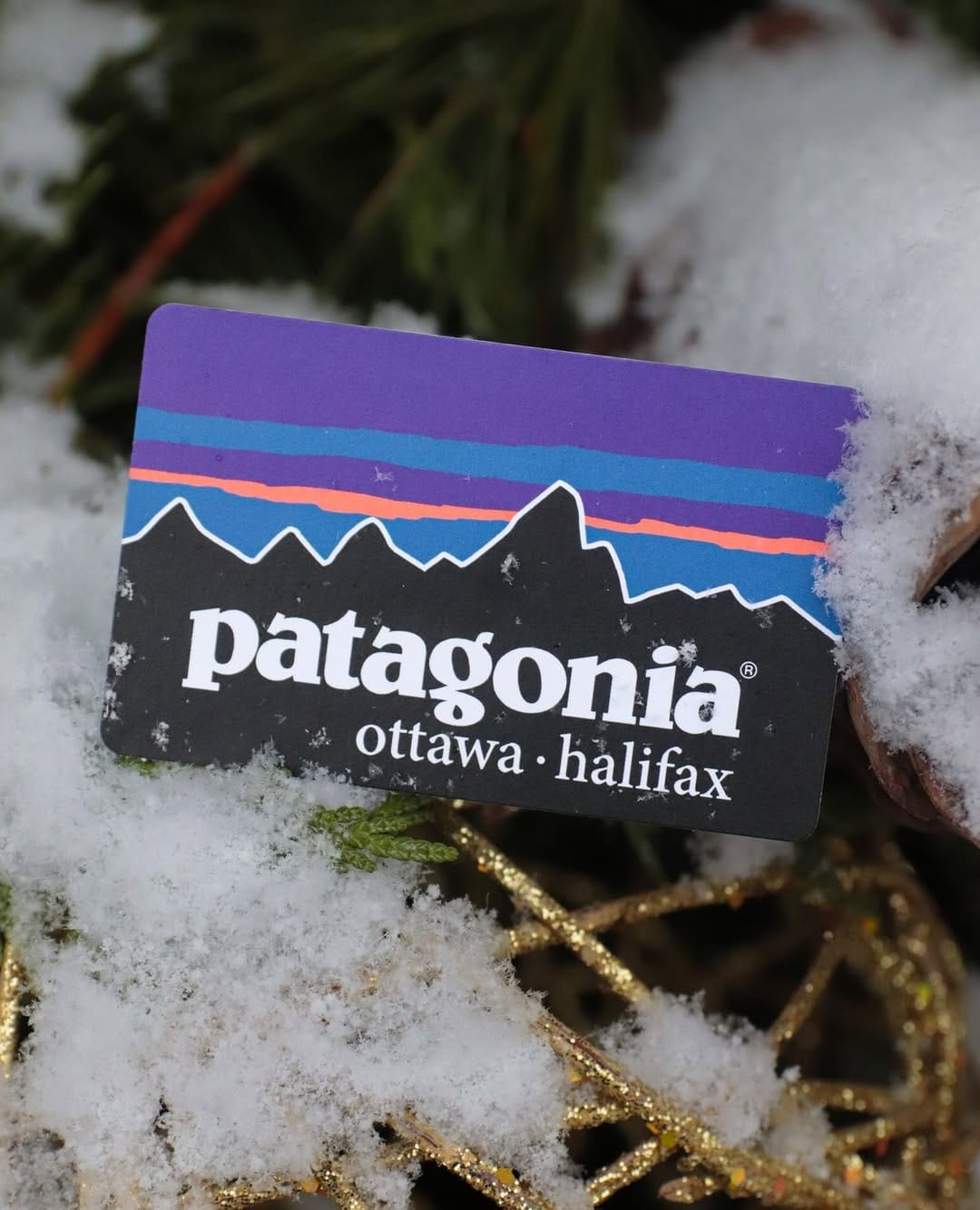 Post 10 by Patagonia Halifax on Instagram (image)