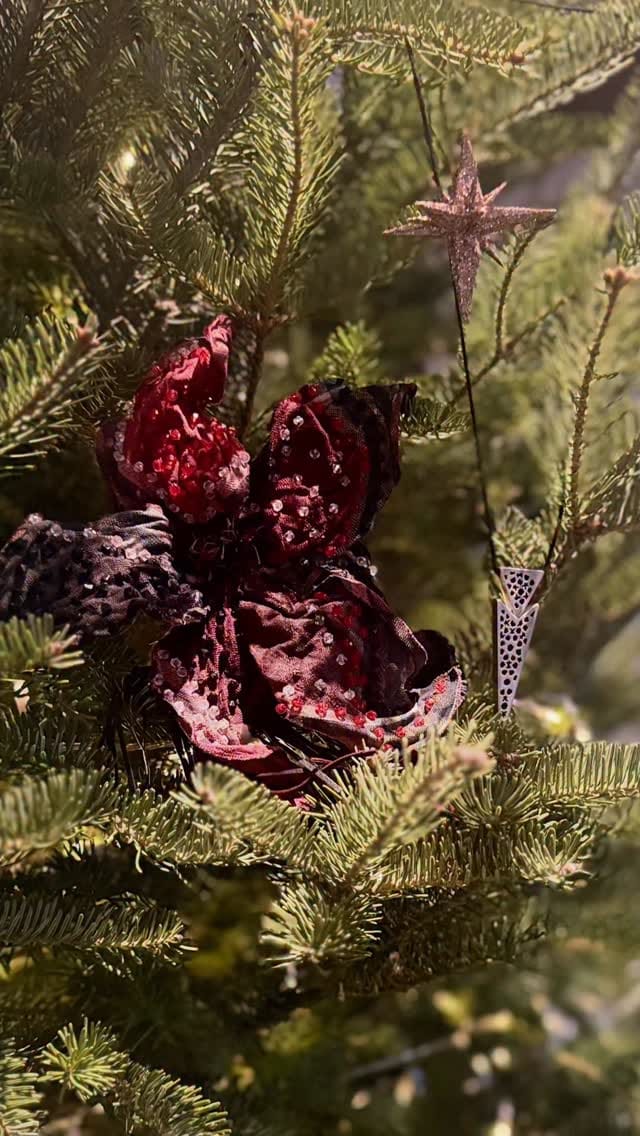 Post 4 by LEYLA KASHANI on Instagram (video)