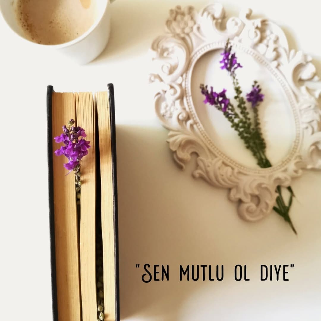 Post 9 by Gamze Sert on Instagram (image)