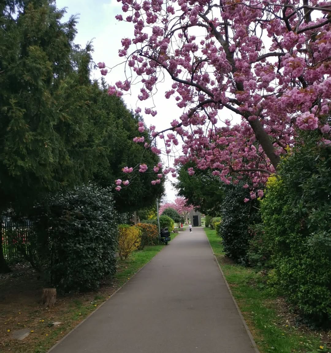 Post 5 by Gamze Sert on Instagram (image)