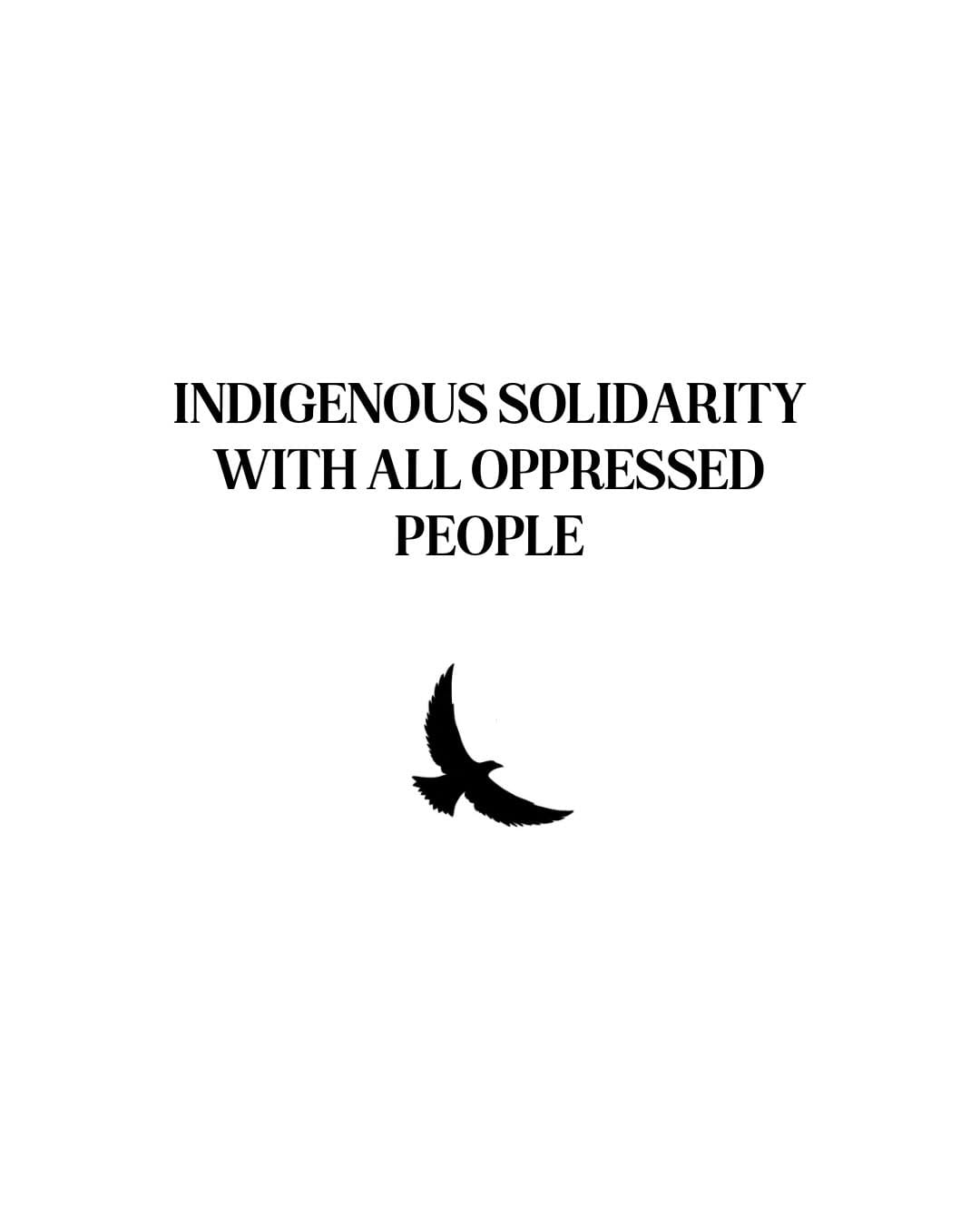 Post 3 by Decolonial Clothing on Instagram (carousel)