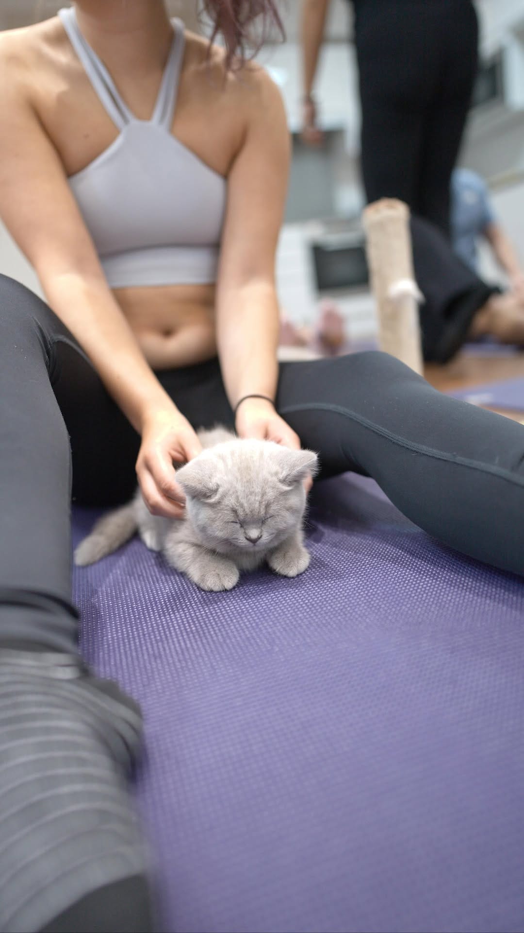 Post 8 by Kitty Yoga London 🐾 on Instagram (video)