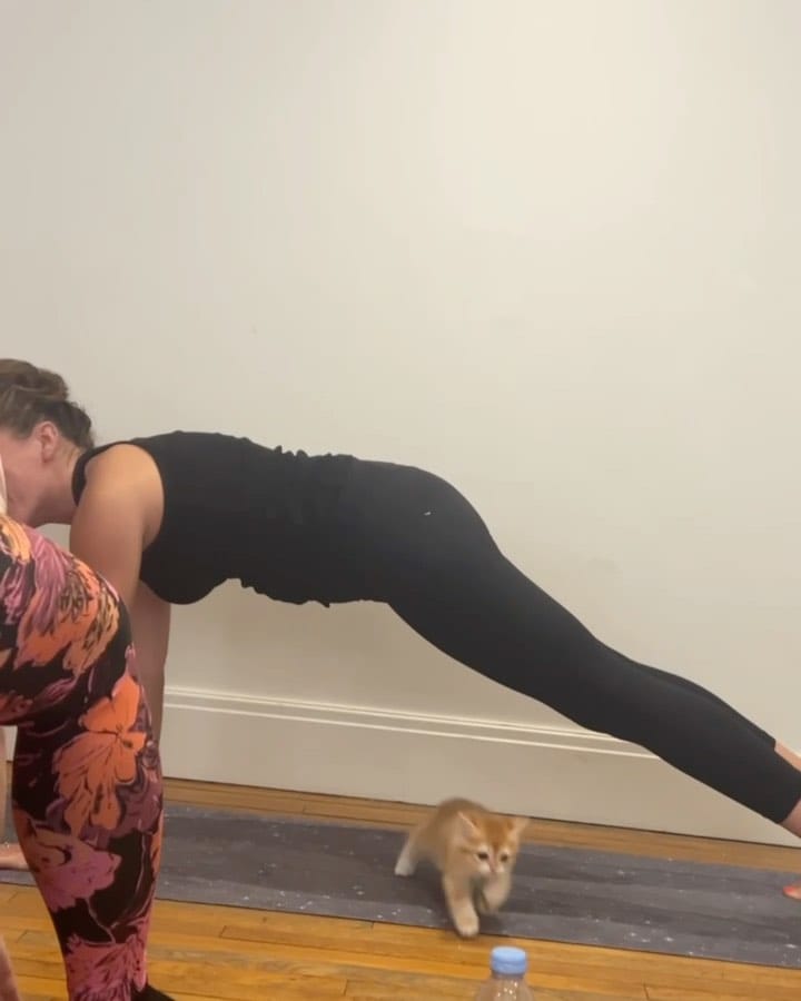 Post 9 by Kitty Yoga London 🐾 on Instagram (carousel)