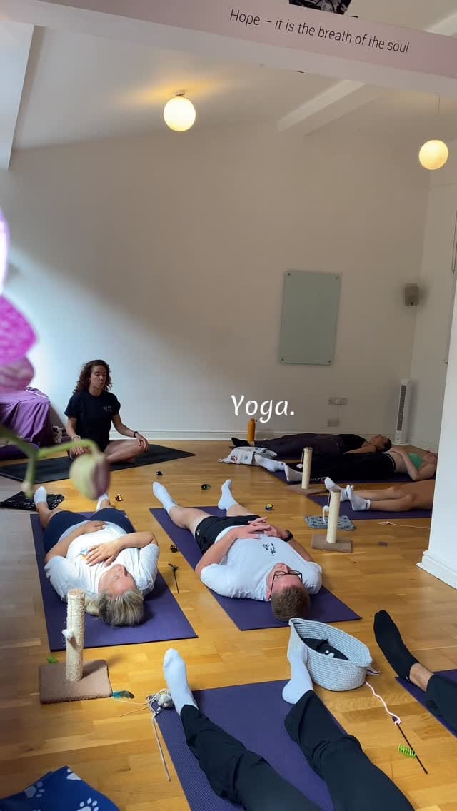 Post 4 by Kitty Yoga London 🐾 on Instagram (video)