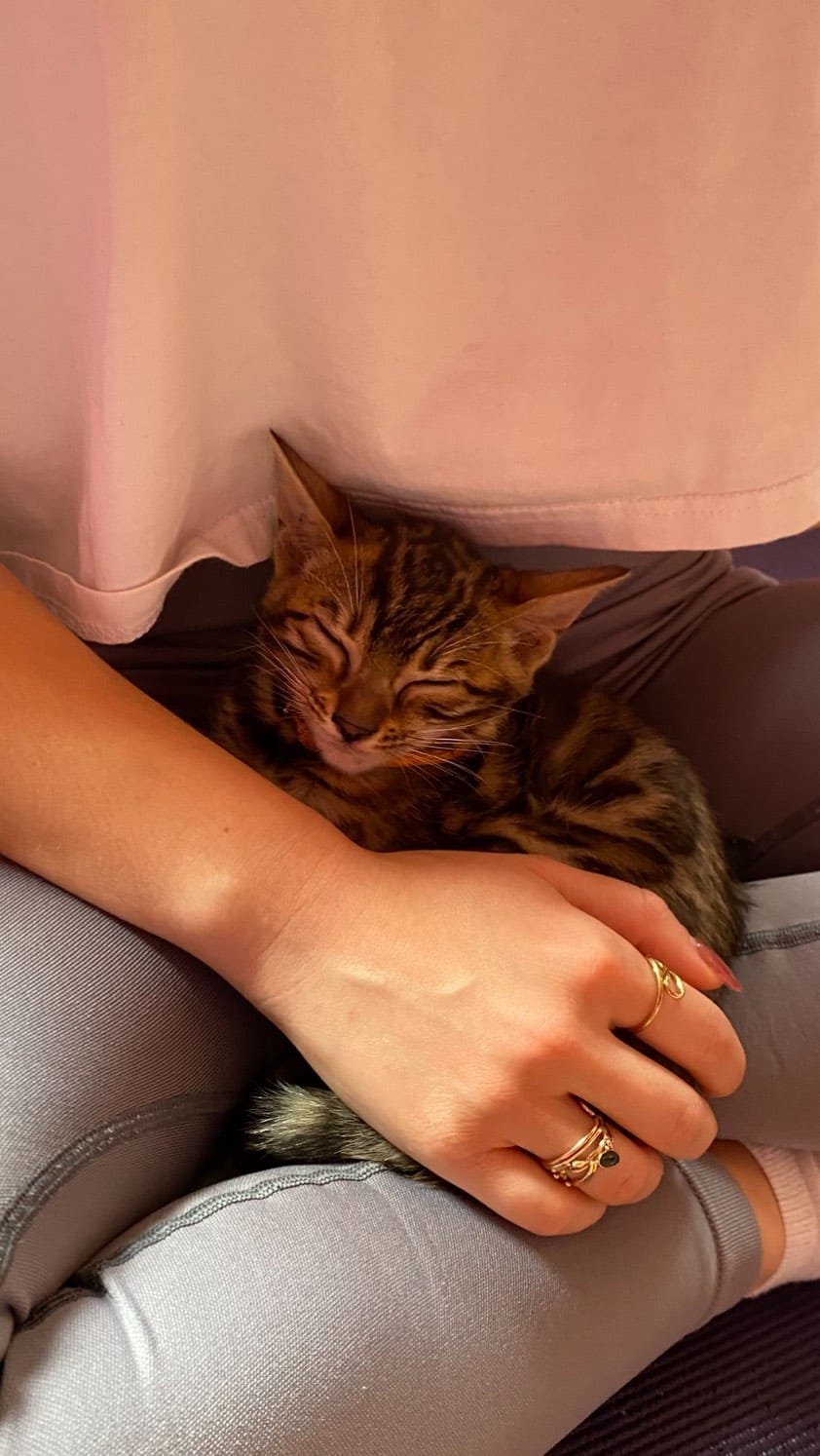 Post 5 by Kitty Yoga London 🐾 on Instagram (video)