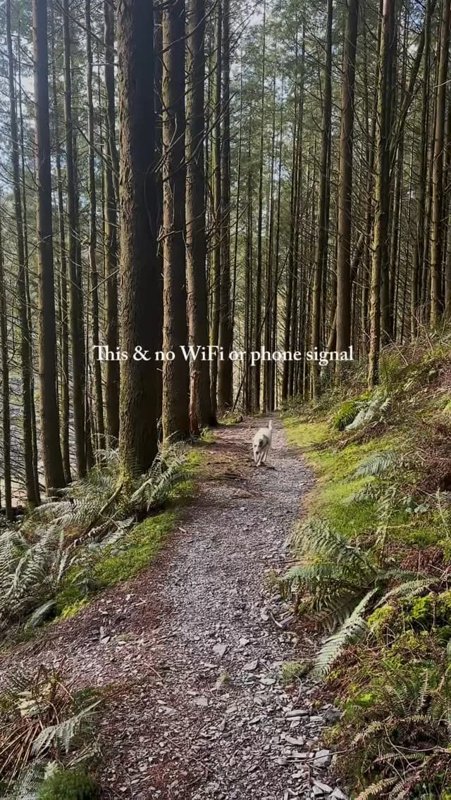 Post 1 by Cat ~ Yoga Teacher, Retreat Holder & Women’s Holistic Coach on Instagram (video)