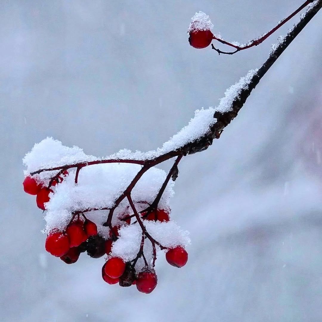Post 7 by Polar Piece on Instagram (image)