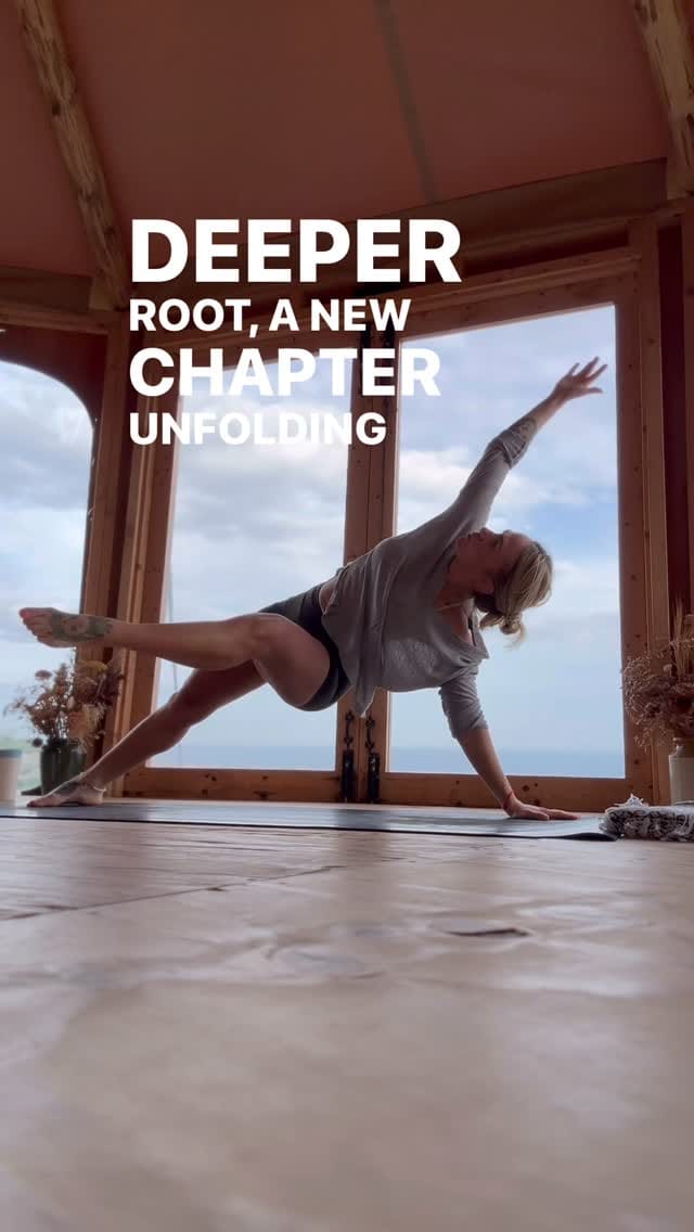 Post 7 by The Zen Den on Instagram (video)