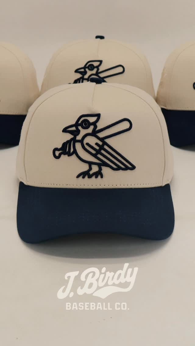 Post 5 by J. BIRDY BASEBALL CO. on Instagram (video)