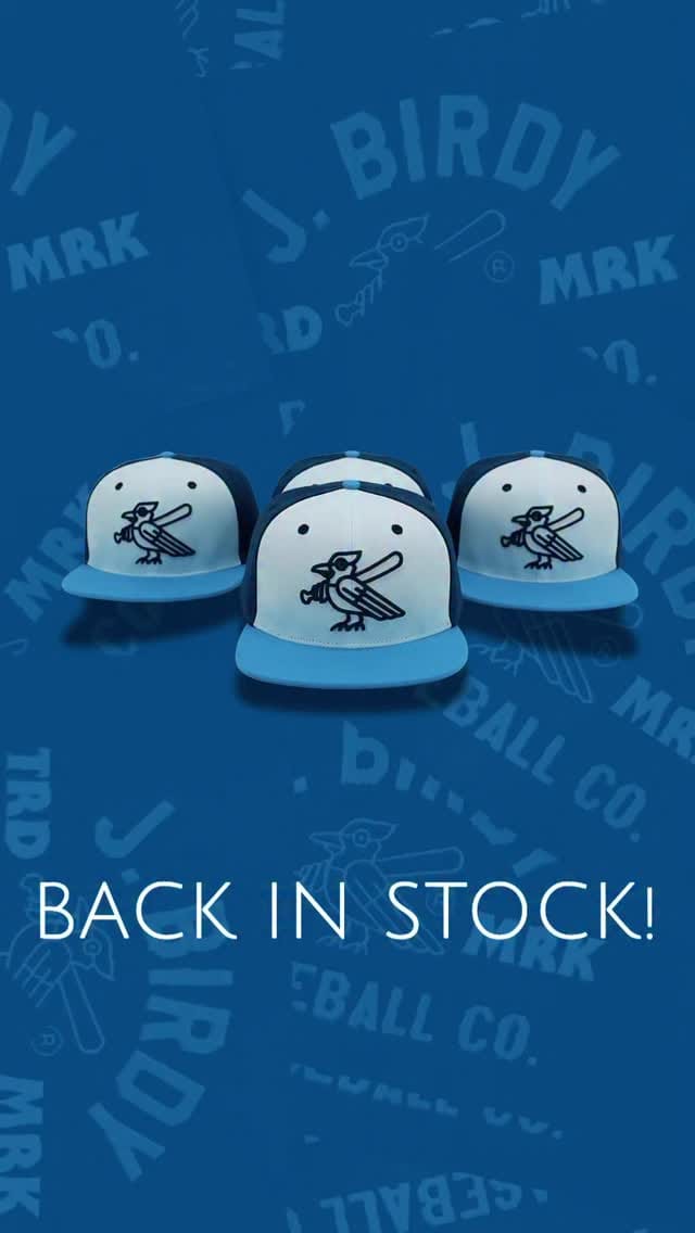 Post 10 by J. BIRDY BASEBALL CO. on Instagram (video)