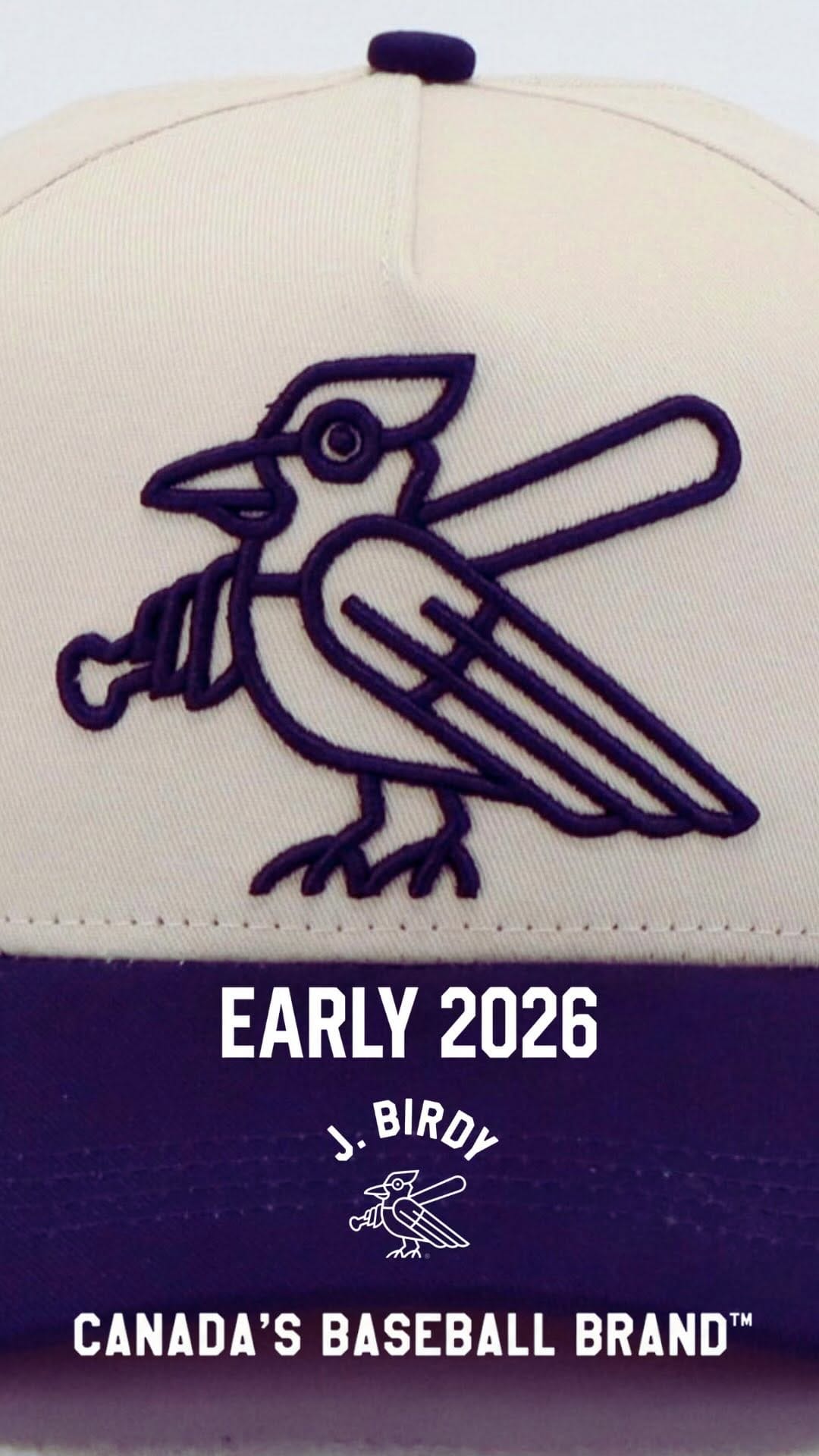 Post 6 by J. BIRDY BASEBALL CO. on Instagram (video)