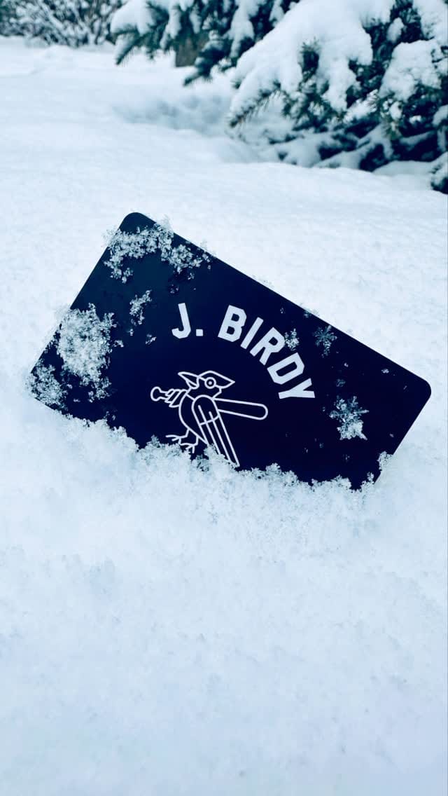 Post 8 by J. BIRDY BASEBALL CO. on Instagram (video)