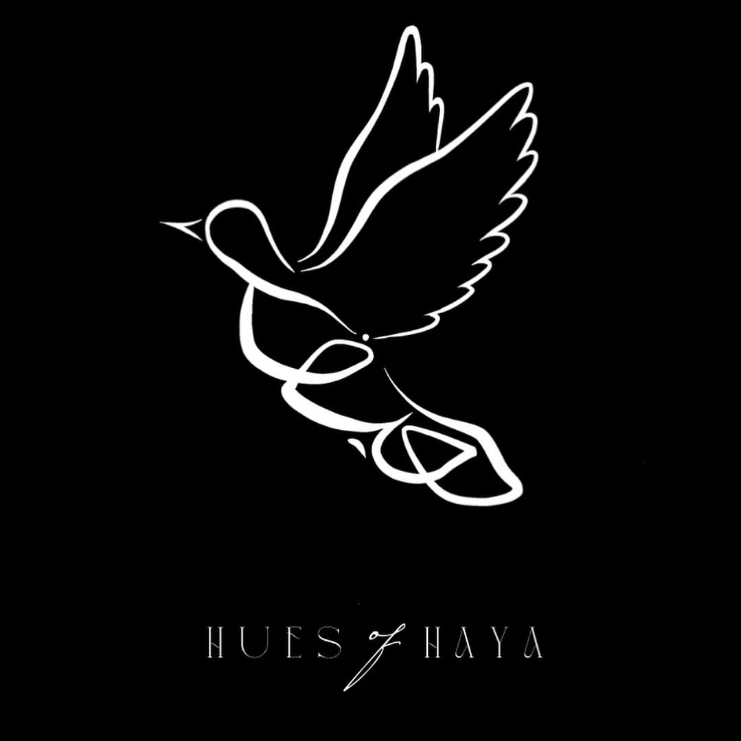 Post 10 by hues of haya 🕊️ on Instagram (carousel)