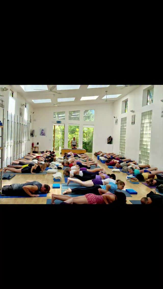 Post 7 by Iyengar Yoga London Maida Vale on Instagram (video)