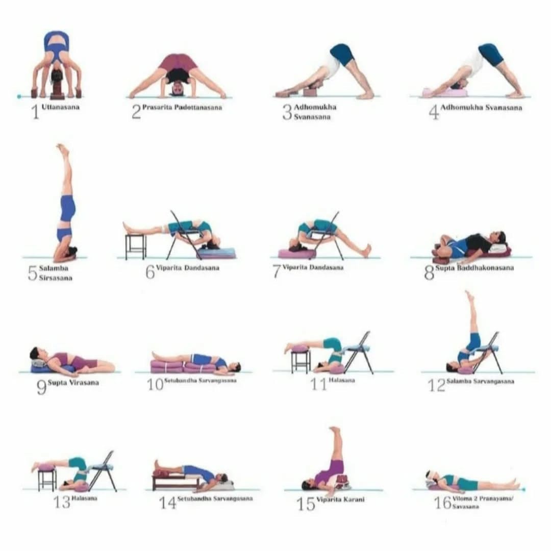 Post 5 by Iyengar Yoga London Maida Vale on Instagram (image)