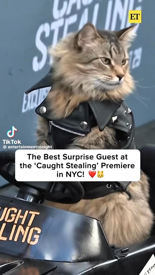 Post 2 by Matt Robinson on Instagram (video)