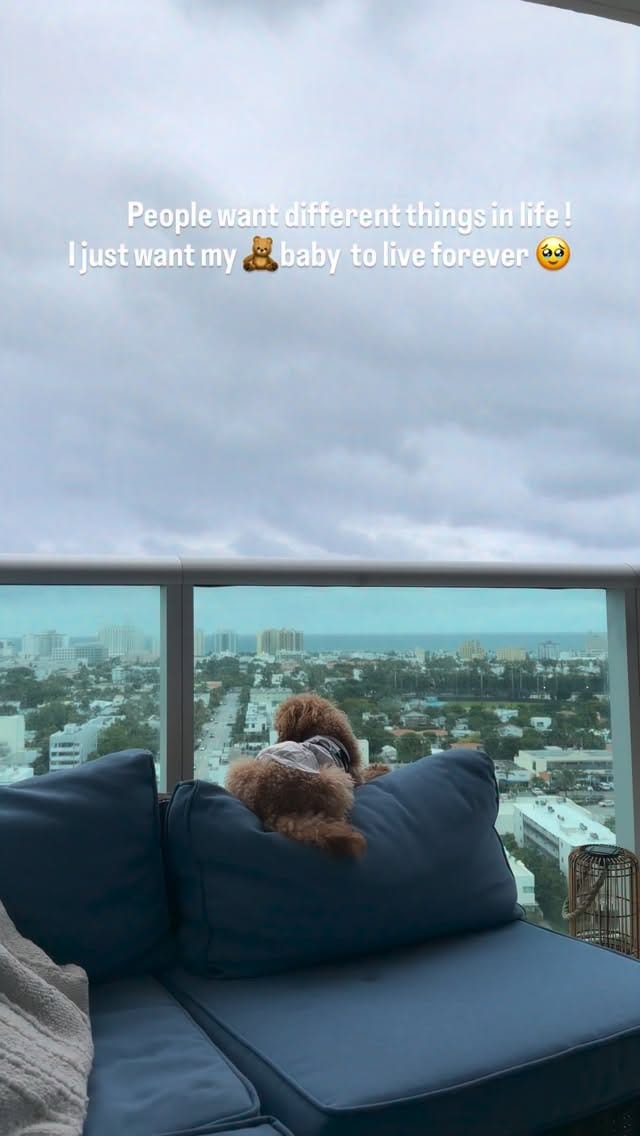 Post 1 by Fia Zyba on Instagram (video)