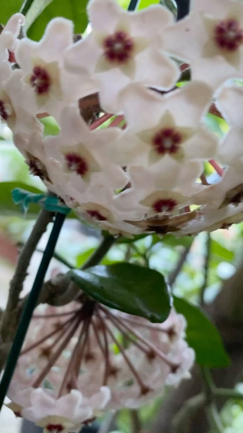 Post 3 by Jack Hsieh Couturier on Instagram (video)