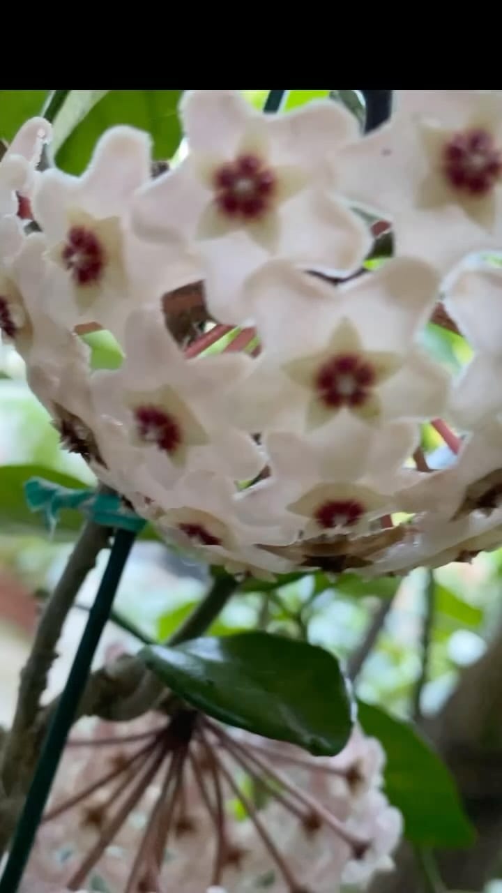 Post 2 by Jack Hsieh Couturier on Instagram (video)