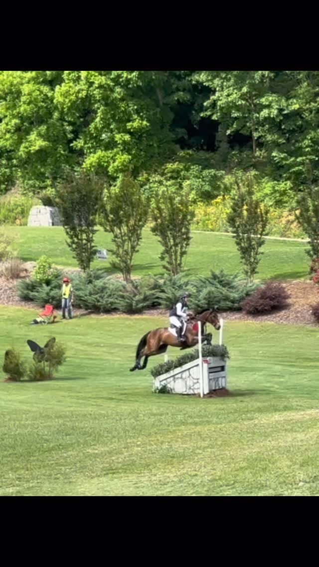 Post 5 by Madison Temkin || 24🇺🇸 on Instagram (video)