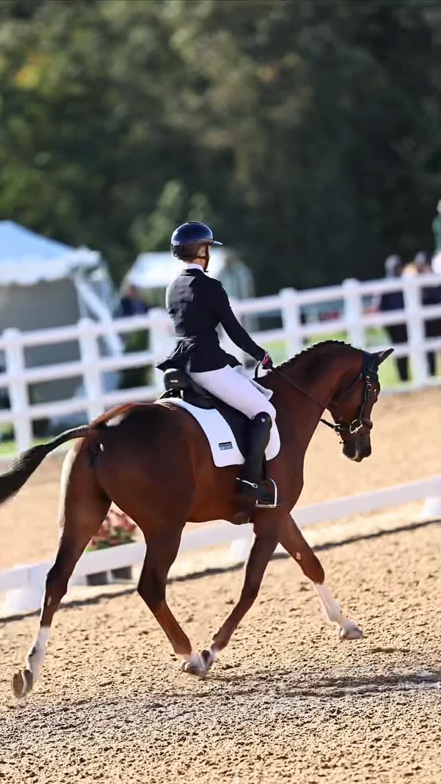 Post 9 by Madison Temkin || 24🇺🇸 on Instagram (video)