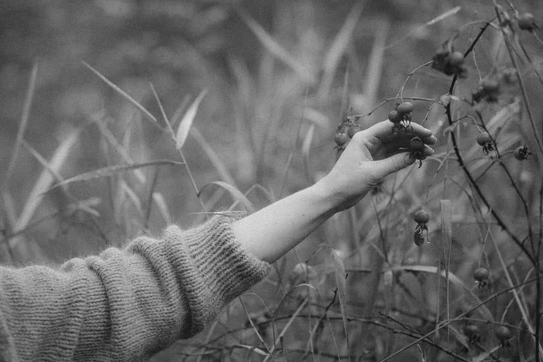 Post 1 by Emily Mabel Scholes Williaume on Instagram (image)