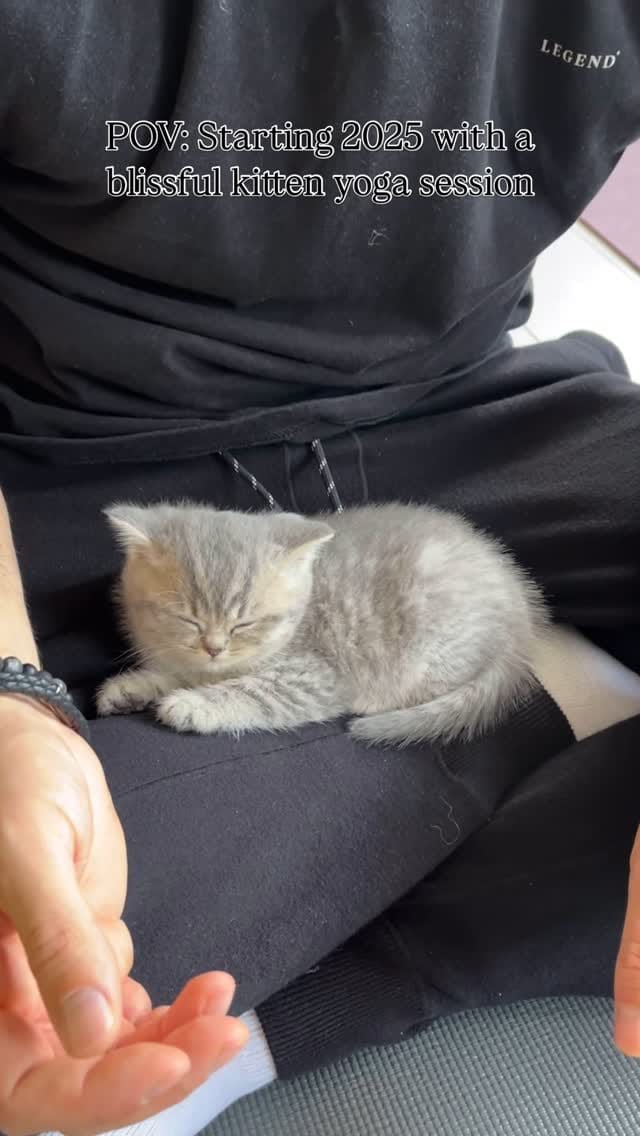 Post 9 by Pets Yoga 🐾 on Instagram (video)