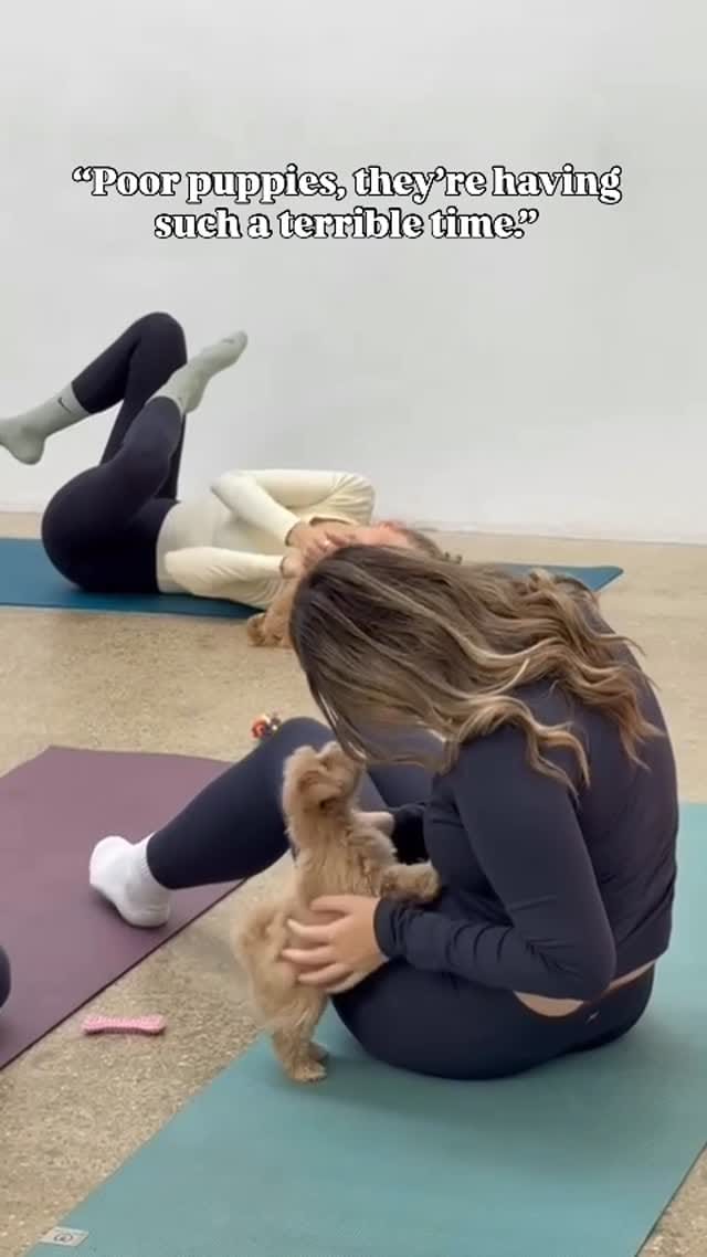 Post 8 by Pets Yoga 🐾 on Instagram (video)
