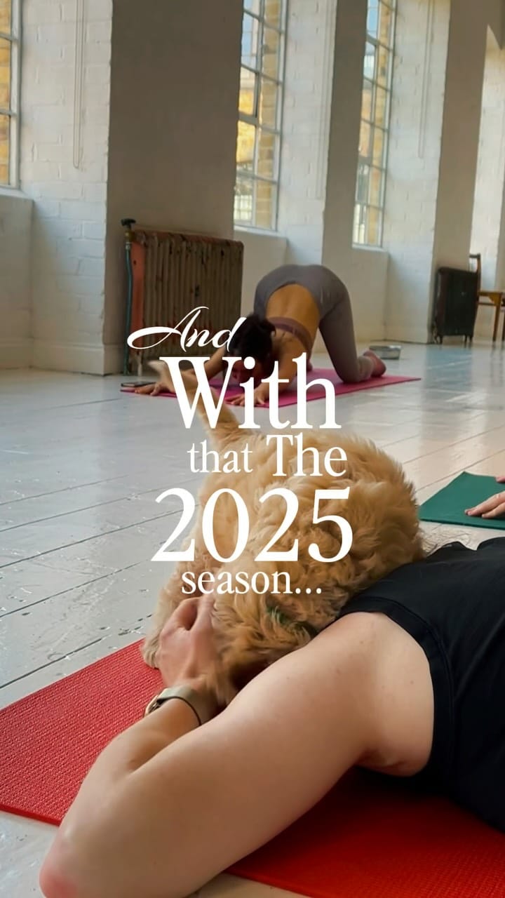 Post 2 by Pets Yoga 🐾 on Instagram (video)