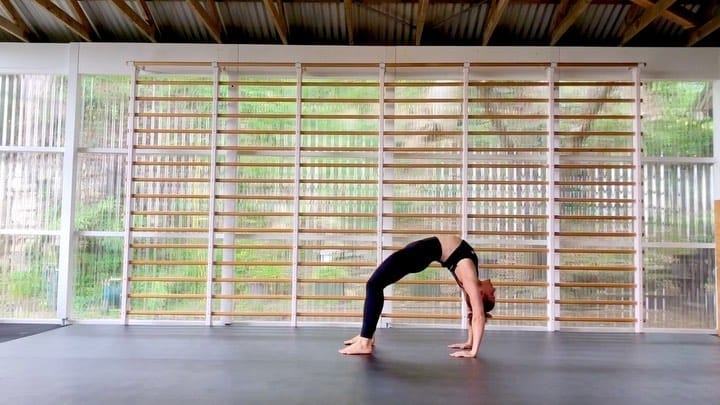 Post 1 by WHITE ZEBRA - NEWCASTLE 🇦🇺 on Instagram (video)
