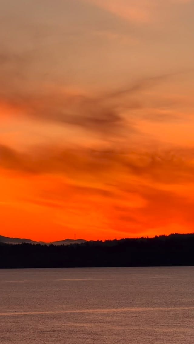 Post 2 by Lilli Ives Campion on Instagram (video)
