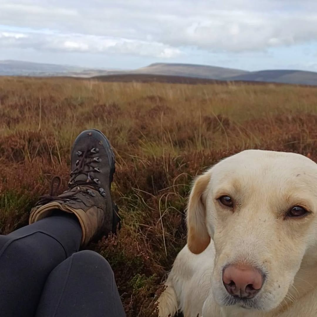 Post 2 by @countrygirl_toomanygundogs on Instagram (image)