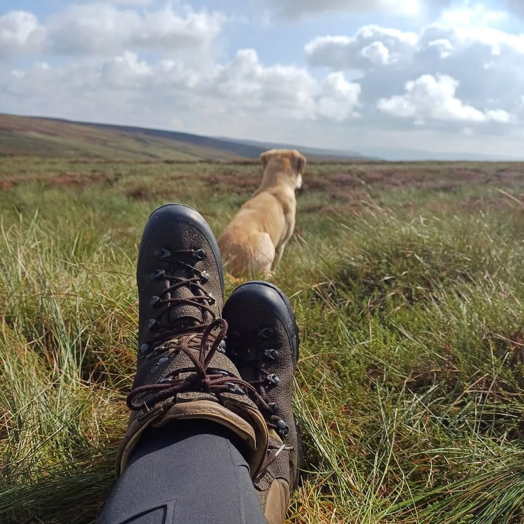 Post 6 by @countrygirl_toomanygundogs on Instagram (image)