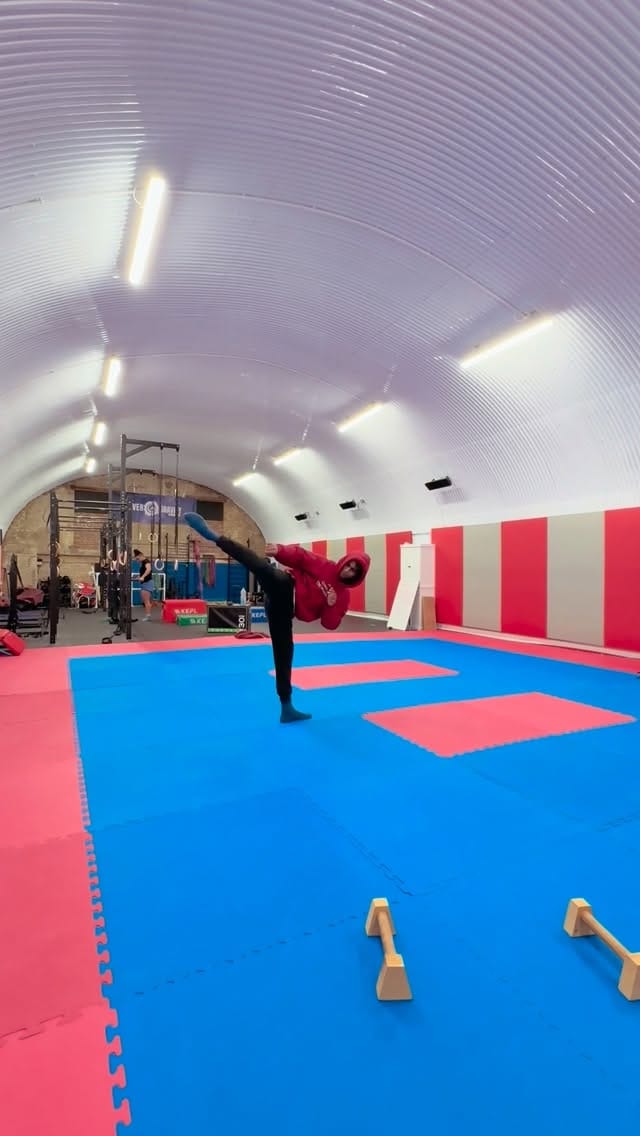 Post 4 by Fernando Raymond on Instagram (video)