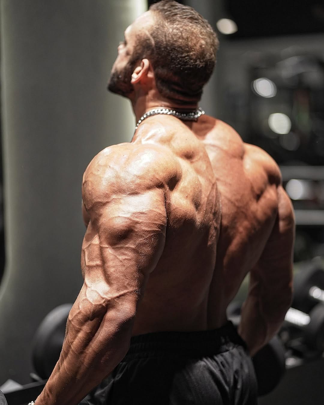Post 5 by shalev ledani_ifbbpro on Instagram (image)