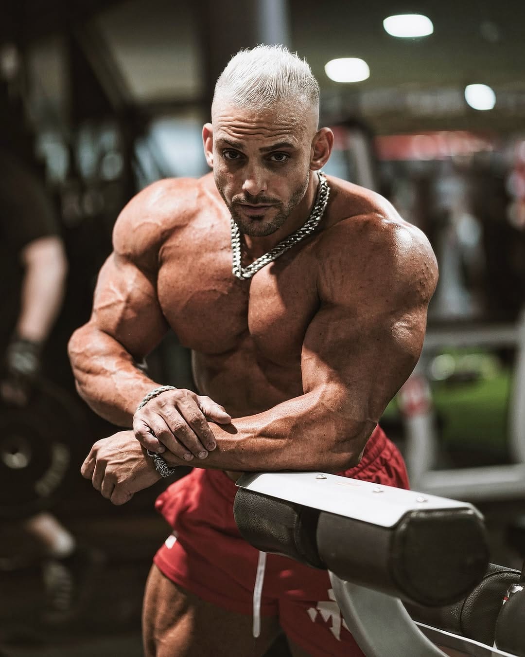 Post 6 by shalev ledani_ifbbpro on Instagram (image)