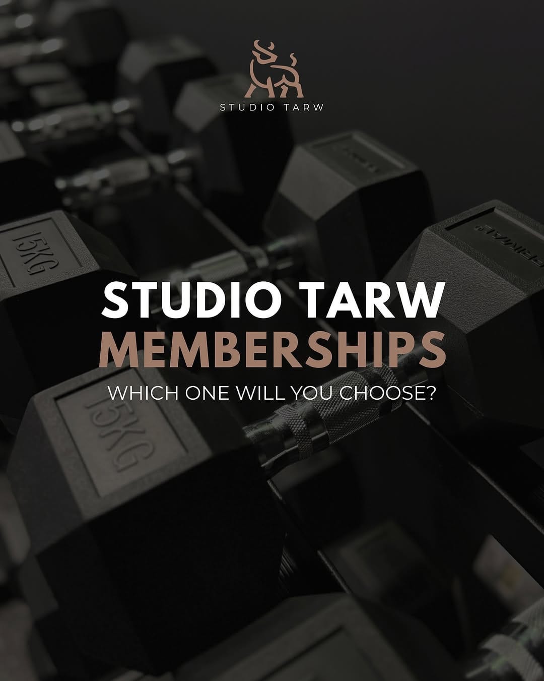 Post 9 by Studio Tarw - Bootcamp, Spin, Pilates & Yoga | Cardiff on Instagram (carousel)